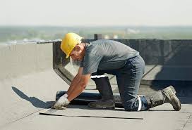 Best Roof Coating Services  in Lake Leann, MI